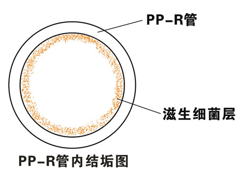 PP-R滲氧，易滋生細菌，有異味；腐蝕金屬連接件，降低使用壽命